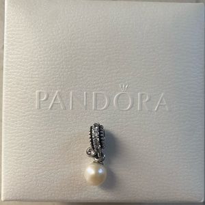 Pandora charm